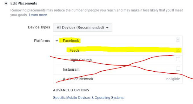 Targeting the successful section on Facebook campaigns